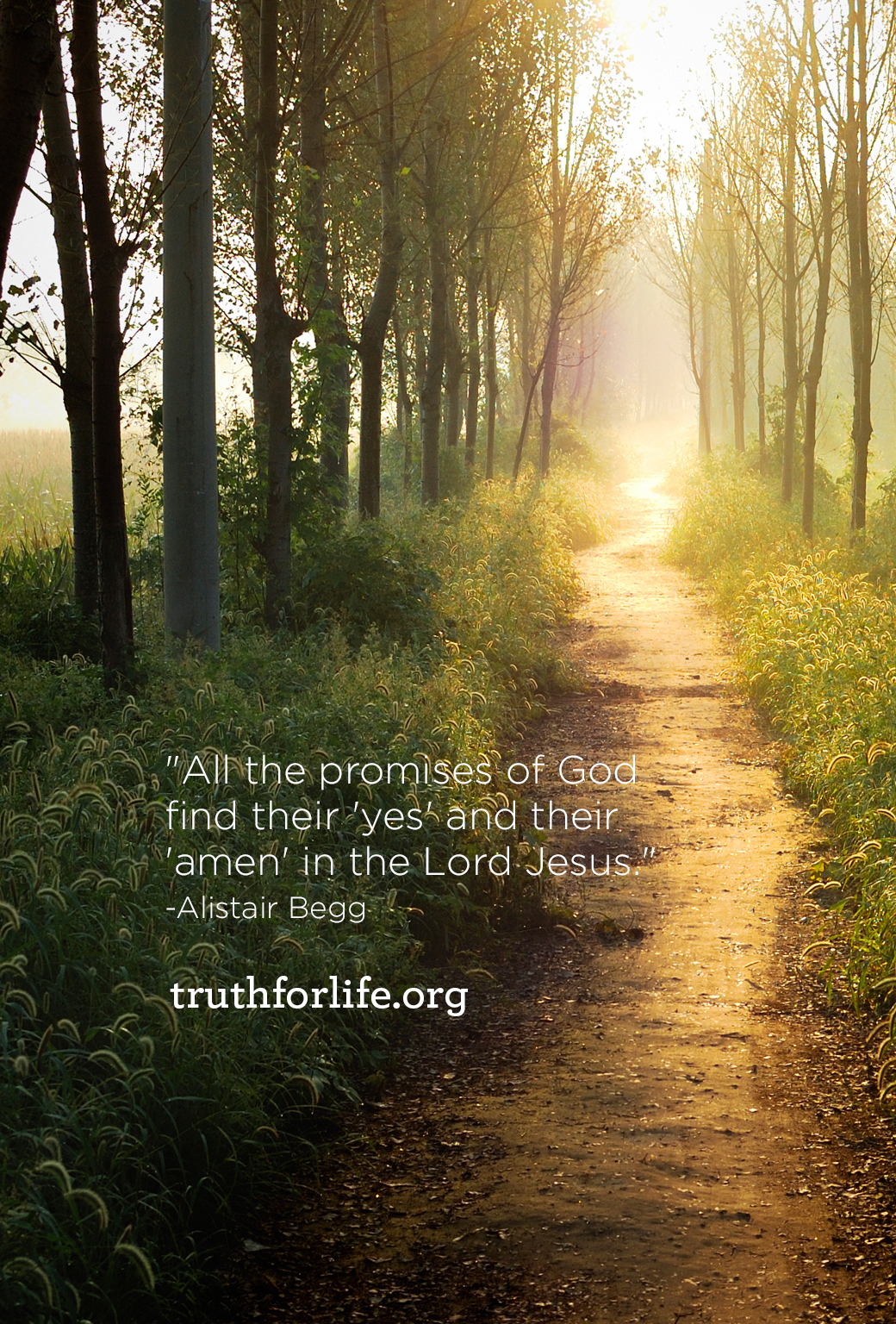 All The Promises Of God Wallpaper - Truth For Life