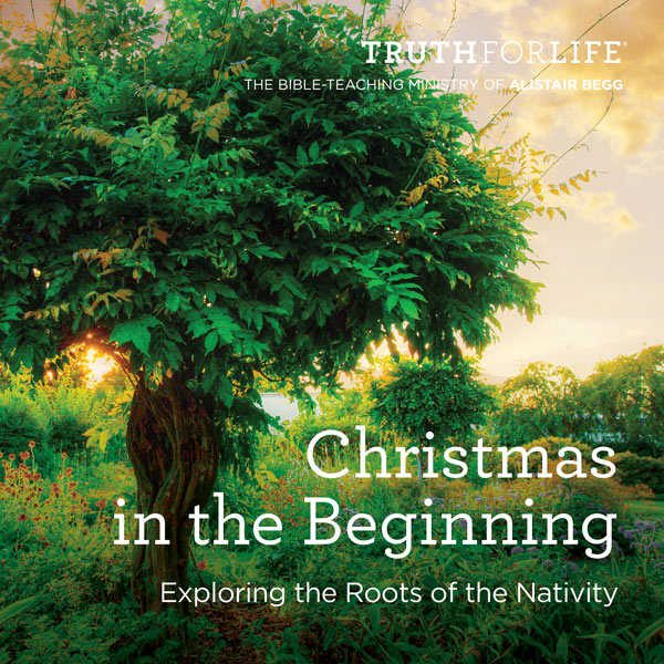 Christmas in the Beginning