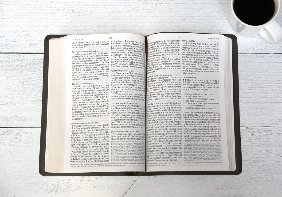 ESV Large-Print Bible - Store - Truth For Life