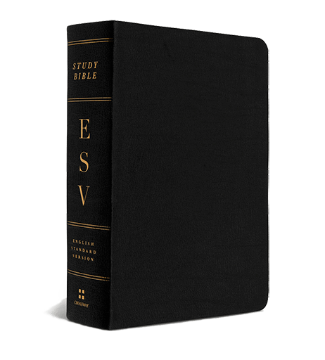 esv bible study journals hebrews