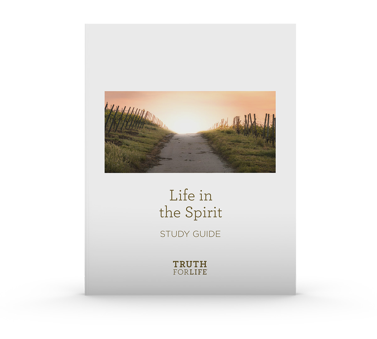 ‘Life in the Spirit’ Digital Study Guide