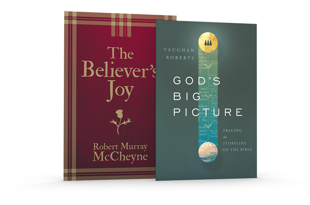 The Believer's Joy & God's Big Picture