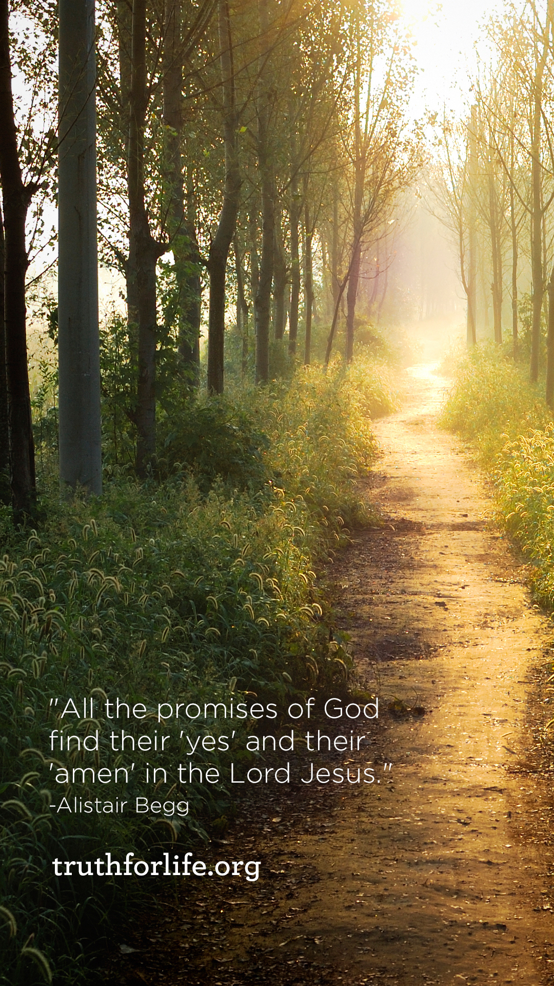 All the Promises of God Wallpaper - Truth For Life