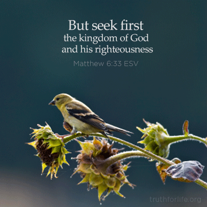 Seek first the kingdom of God - Truth For Life