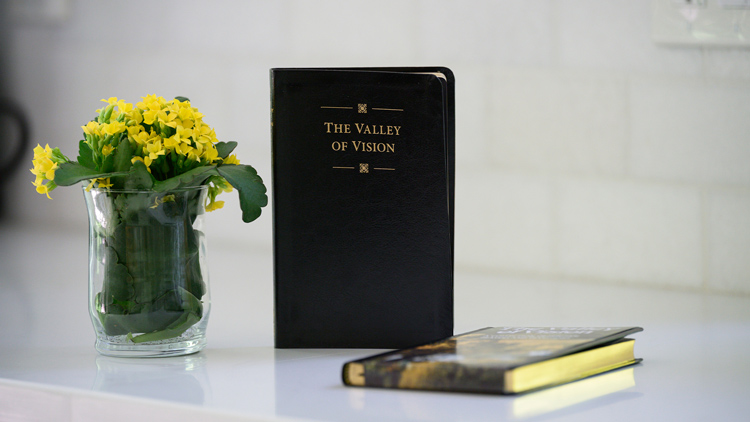 The Valley of Vision: A Collection of Puritan Prayers and Devotions