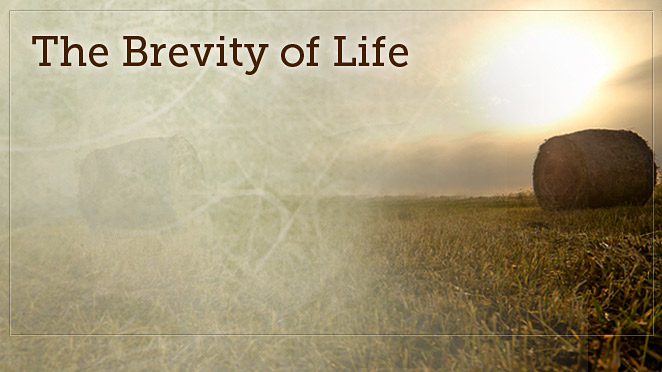 The Brevity Of Life - Archive - Truth For Life